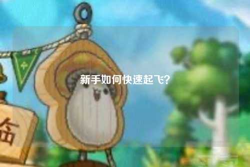 新手如何快速起飛？