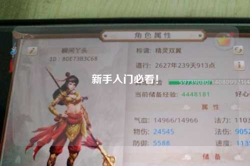 新手入門必看！