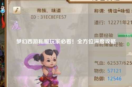 夢(mèng)幻西游私服玩家必看！全方位深度攻略