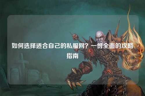 如何選擇適合自己的私服網(wǎng)？一份全面的攻略指南