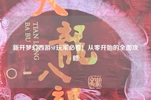 新開夢幻西游SF玩家必看！從零開始的全面攻略