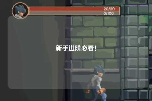 新手進(jìn)階必看！