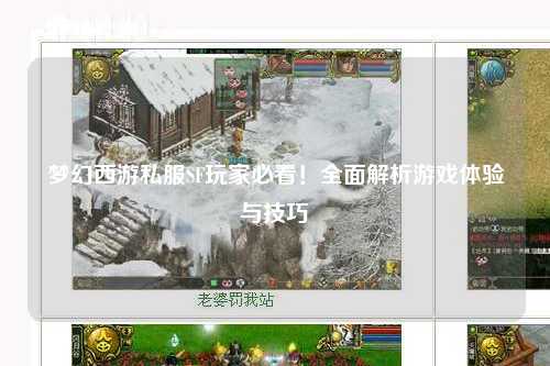 夢幻西游私服SF玩家必看！全面解析游戲體驗與技巧
