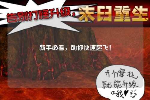 新手必看，助你快速起飛！