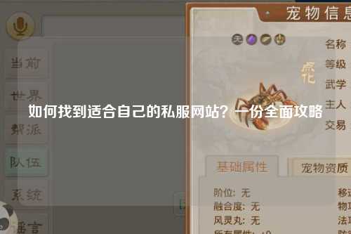 如何找到適合自己的私服網(wǎng)站？一份全面攻略