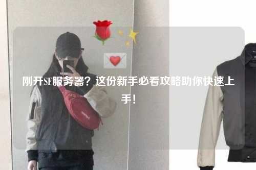 剛開SF服務(wù)器？這份新手必看攻略助你快速上手！