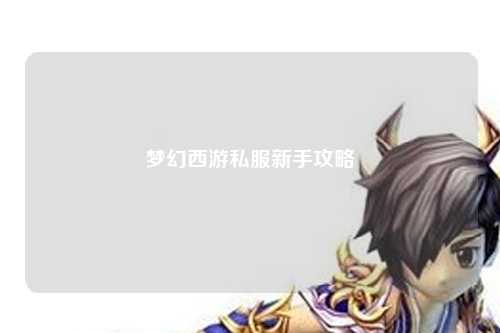 夢幻西游私服新手攻略