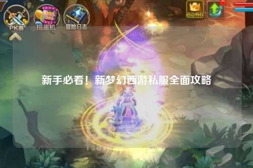 新手必看！新夢(mèng)幻西游私服全面攻略