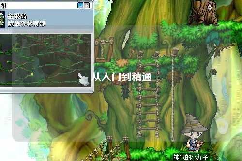 從入門到精通