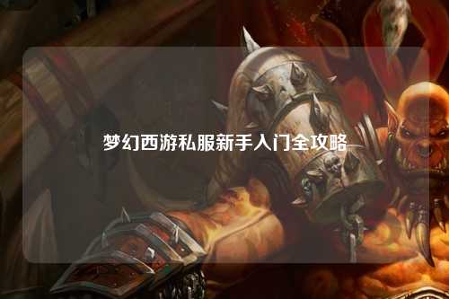 夢(mèng)幻西游私服新手入門全攻略