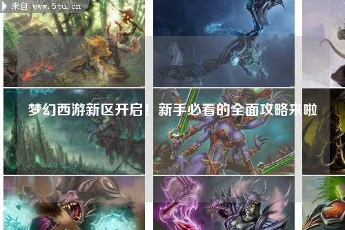 夢幻西游新區(qū)開啟！新手必看的全面攻略來啦～