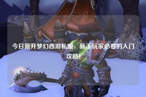 今日新開夢幻西游私服，新手玩家必看的入門攻略！